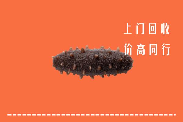 岳塘区高价回收海参